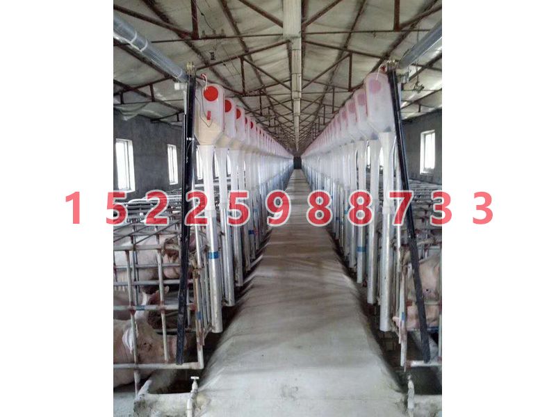 豬場自動（dòng）供料係（xì）統